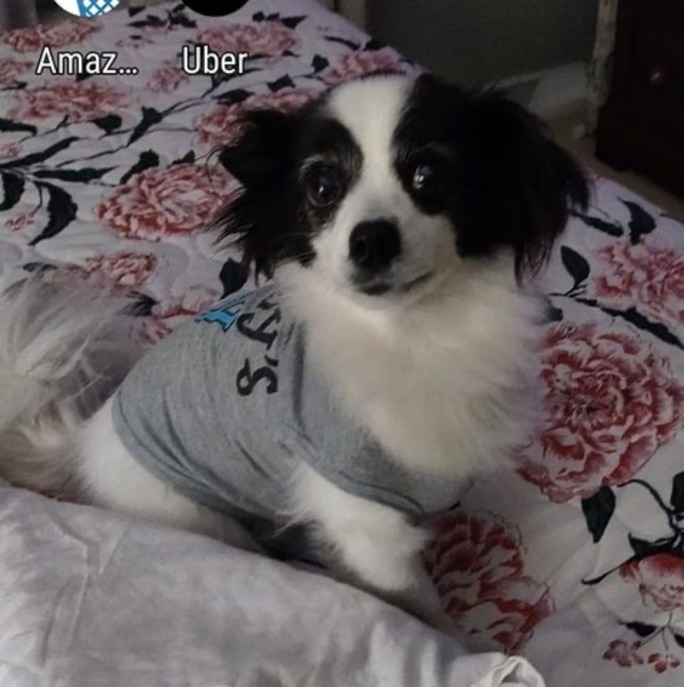 Meet your Posher, Pam